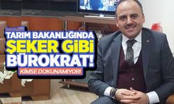 Türkşeker'de şeker paketleme işi de yandaş firmaya! Şeker gibi bürokrata dokunulmuyor!