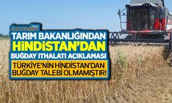 Türkiye Hindistan'dan buğday ithal ediyor mu? Tarım Bakanlığı'ndan Hindistan buğday ithalatı açıklaması!