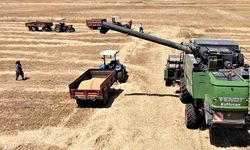 Antalya'da buğday hasadı buruk başladı! Çiftçi ÖTV'siz mazot istiyor!