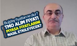 Buğday fiyatları (2022) ne olur? TMO buğday alım fiyatı piyasa fiyatlarını nasıl etkileyecek?