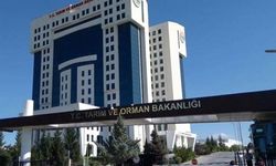 Tarım Bakanlığı Bilgi Teknolojileri Genel Müdürlüğüne atama! Mehmet Tekin Arpacık kimdir?