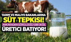 Tarım ve Maliye Bakanlarına süt tepkisi: Ankara'dan görüldüğü gibi değil üretici batıyor!