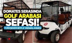 TÜRKŞEKER'de golf arabası sefası! Domates serasını gezmek için golf arabası almışlar!