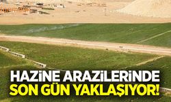 Hazineye ait tarım arazisinde son gün yaklaşıyor!