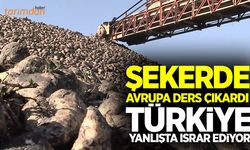 Şekerde Avrupa ders çıkardı Türkiye yanlışta ısrar ediyor!