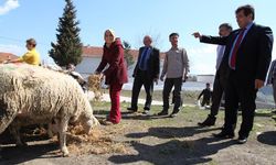 Çanakkale’de genç çiftçilere büyük destek!