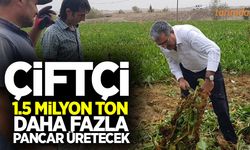 Kotalar düştü çiftçi daha fazla pancar üretecek