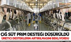 Çiğ süt prim destekleri düşürüldü!