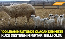 Kuzu desteğinin miktarı belli oldu!