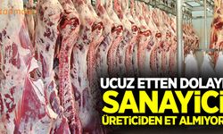 Ucuz etten dolayı sanayici üreticiden et almıyor!