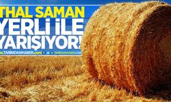 İthal saman ucuz değil!