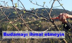 Budamayı ihmal etmeyin