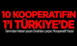 Kooperatifçilik Modeli