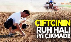 Anketten çiftçinin ruh hali iyi çıkmadı!