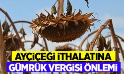 Ayçiçeği ithalatında gümrük vergisi artırıldı!