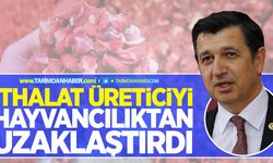 İthalat üreticiyi hayvancılıktan uzaklaştırdı