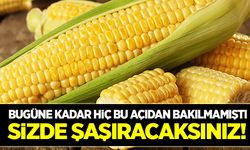 Mısırdaki Fruktoz oranı yüzde kaçtır?