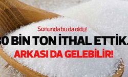 80 bin ton şeker ithal ettik, arkası da gelebilir!