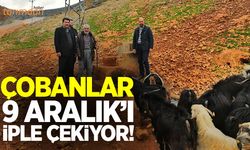 Çobanlar 9 Aralık’ta seçim yapacak!