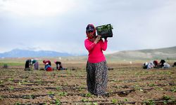 TKDK: 12 bin yatırımcıya destek verdi