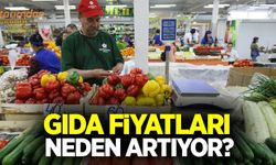 Gıda fiyatları neden artıyor?