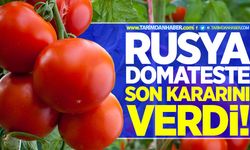 Rusya domateste son kararını açıkladı