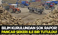 Bilim Kurulunun NBŞ raporu yumuşatıldı!