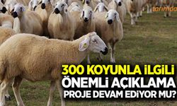 300 koyun projesinde önemli açıklama!