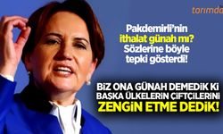 Akşener’den Pakdemirli’ye tepki: ‘Biz ithalat günah demedik ki!’