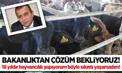 18 yıldır hayvancılık sektöründeyim böyle sıkıntı yaşamadım!