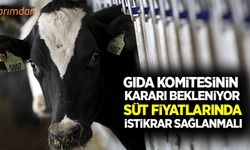 Süt fiyatları için Gıda Komitesi’nin kararı bekleniyor!