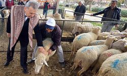 İzmir tarım ve hayvancılıkta gelişiyor