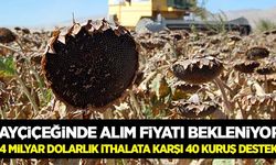 Ayçiçeğinde 4 milyar dolarlık ithalata 40 kuruş destek!