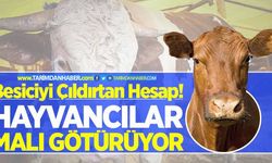 Besiciyi çıldırtan hesap: Bu hesaba göre hayvancılar malı götürüyor!