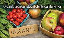 Organik ürünlerin doğal olanlardan farkı ne?