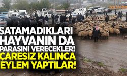 Yetiştirici satamadığı hayvana para verecek!