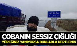 Çobanın sessiz çığlığı!