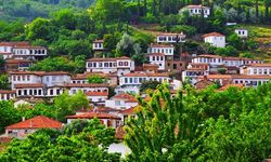 Gönüllü köy aranıyor