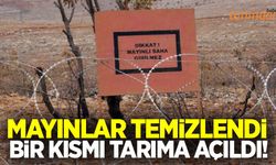 Mayınlar temizlendi tarıma açıldı!