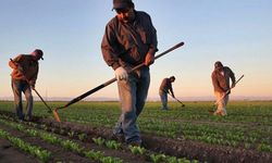 Sevindiren gelişme; Tarımsal nüfus gençleşiyor
