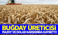 Buğday üreticisi dolar ve mazot karşısında kaybetti!