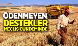 Ödenmeyen destekler Meclis gündeminde!