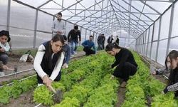 Uluslararası Tarım Lisesi açılacak