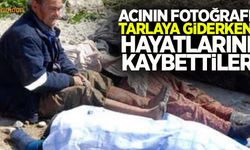 Tarlaya ekmek parası için giderken hayatlarını kaybettiler