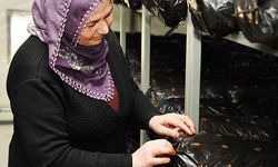 Çiftçiye alternatif üretim desteği