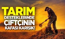 Tarım desteklerinde çiftçinin kafası karışık!