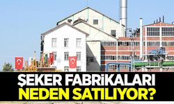 Şeker fabrikaları neden satılıyor?