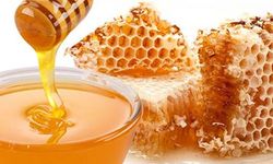 Yeşildere balı birinci seçildi