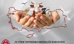 Veteriner hekimlerden 100 Milyar liralık ‘Bilimsel Toplantı’