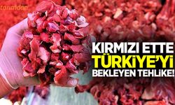 Kırmızı ette Türkiye’yi bekleyen tehlike!